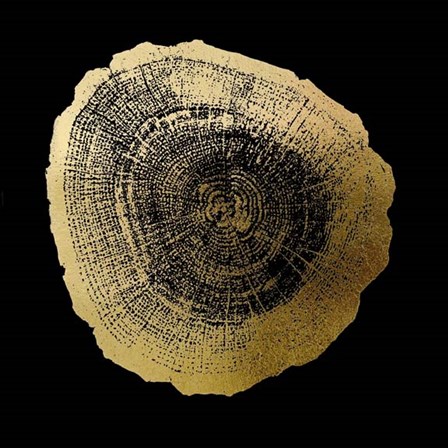 Gold Foil Tree Ring IV on Black by Vision Studio art print