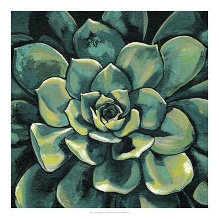 Succulent Bloom I by Megan Meagher art print