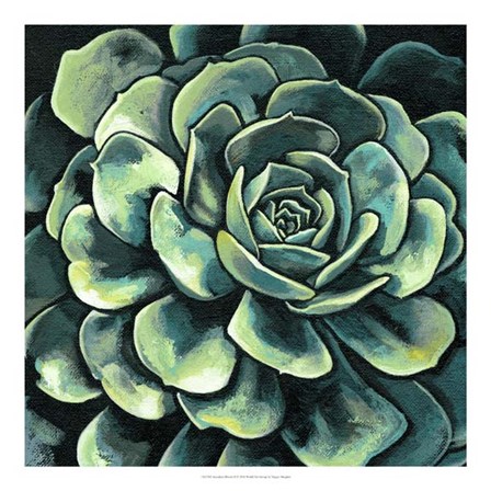 Succulent Bloom II by Megan Meagher art print