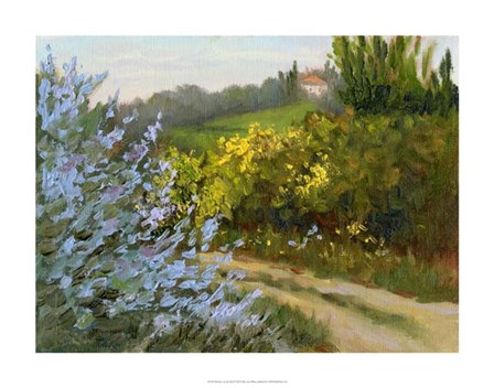 Rosemary by the Road by Mary Jean Weber art print