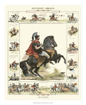 Equestrian Display I by Ch. Motte art print