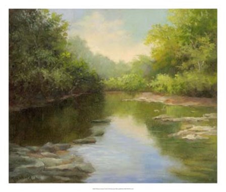 O&#39;Bannon Summer Creek by Mary Jean Weber art print