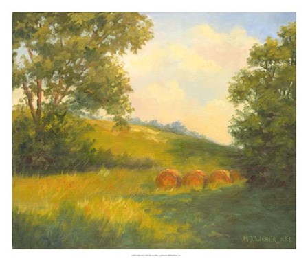 Golden Day by Mary Jean Weber art print