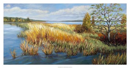 Marsh Edge by A.A. Pfannmuller art print