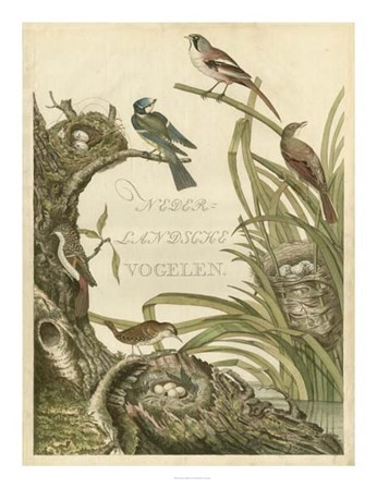 Sanctuary for Birds by Nozeman art print