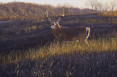 Zone 4 by Bruce Miller art print