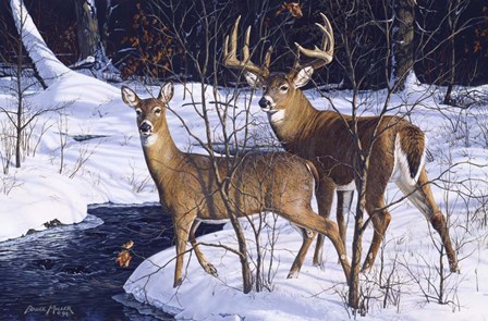 Zone 2 Whitetails by Bruce Miller art print