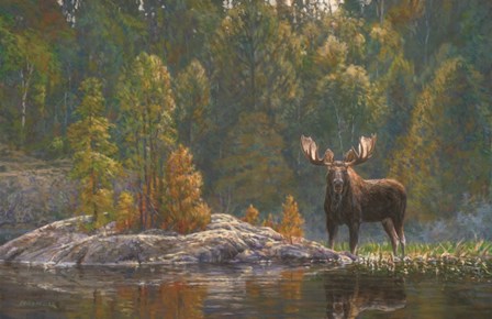 North Country Moose by Bruce Miller art print