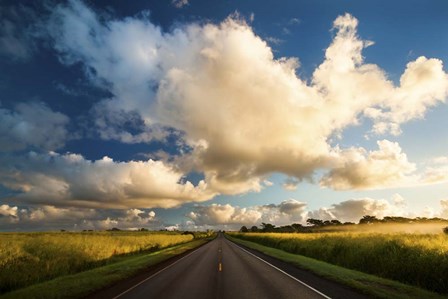 Central Oahu Road by Cameron Brooks art print