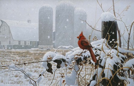 Flaming Glory by Michael Budden art print