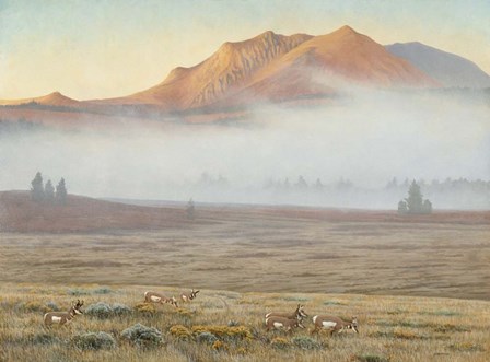 Mackenzie Passage by Michael Budden art print