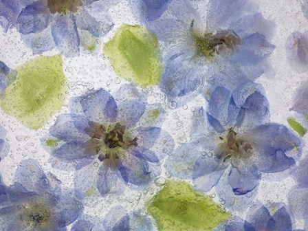 Flores Congeladas 4 by Moises Levy art print