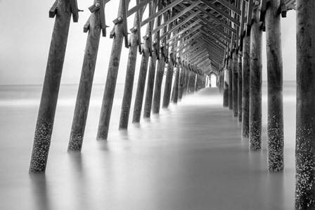 Sea Cathedral by Moises Levy art print