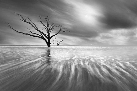 Searching For Life by Moises Levy art print