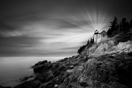 Acadia 49 BN Y Color Rayos by Moises Levy art print