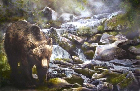 Bear by Murray Henderson Fine Art art print