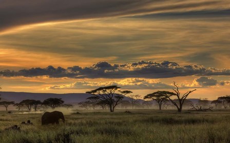 Africa by Amnon Eichelberg art print