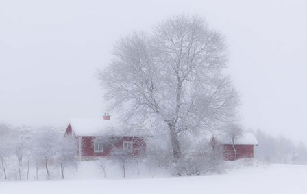 Winter Idyll by Allan Wallberg art print