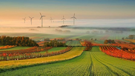 Autumn Atmosphere In Vineyards by Matej Kovac art print