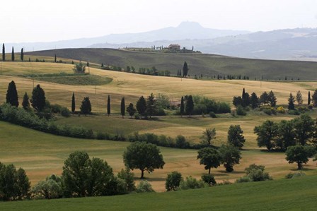 Tuscan Hillside 1 by Robert Goldwitz art print