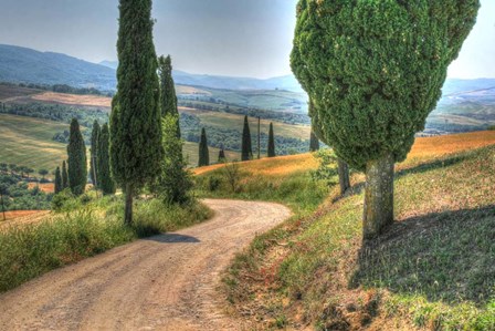 Tuscan Footpath 0392 by Robert Goldwitz art print
