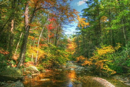 Autumn Brook by Robert Goldwitz art print