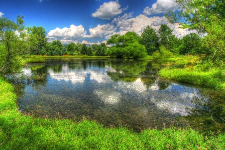 Summer Pond by Robert Goldwitz art print