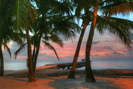 Key West Sunrise V by Robert Goldwitz art print