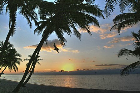 Key West Sunrise VII by Robert Goldwitz art print