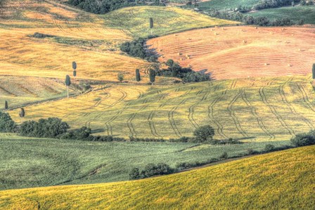 Tuscan Field Patterns by Robert Goldwitz art print