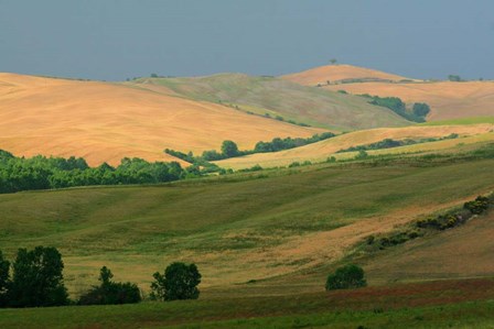 Tuscan Hill I by Robert Goldwitz art print