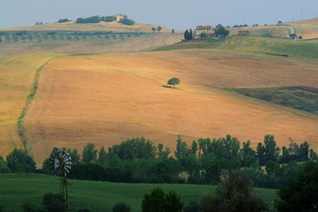 Tuscan Hill II by Robert Goldwitz art print