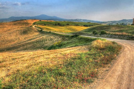 Tuscan Ridge Top Trail by Robert Goldwitz art print