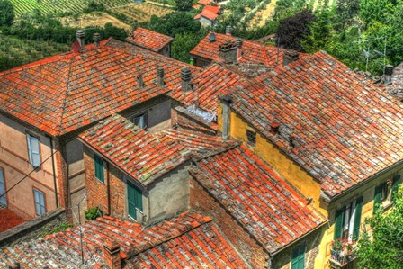 Tuscan Roofs by Robert Goldwitz art print