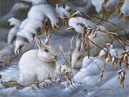 Winter Hares by Wanda Mumm art print