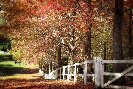 Autumn Moods by Incredi art print