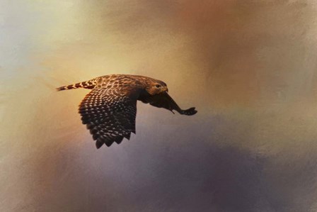 Coming In For The Evening by Jai Johnson art print