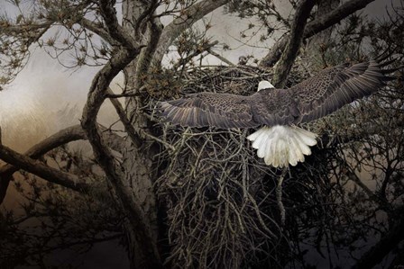 Greeting Mama by Jai Johnson art print