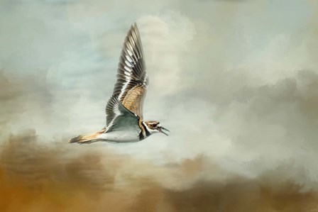 Flight Of The Killdeer by Jai Johnson art print