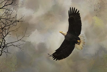 After The Intruder by Jai Johnson art print
