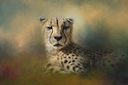 Cheetah Enjoying A Summer Day by Jai Johnson art print