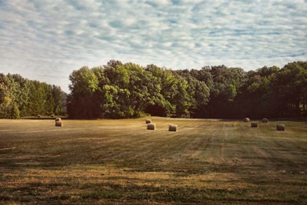 Harvest Time by Jai Johnson art print