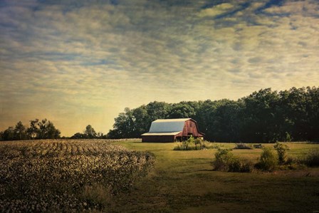 Red Barn At The Cotton Field by Jai Johnson art print