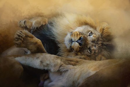 Lion Love 2 by Jai Johnson art print