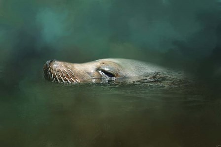 The Sea Lion Emerges by Jai Johnson art print