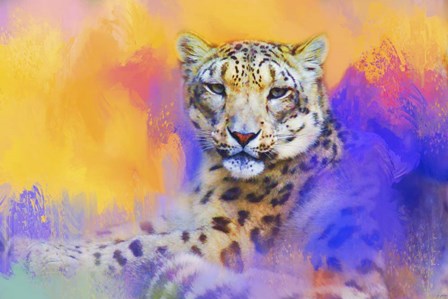Colorful Expressions Snow Leopard by Jai Johnson art print