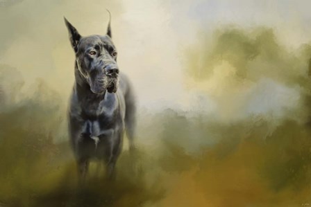 Wistful Dane by Jai Johnson art print