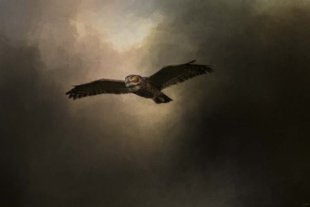 Night of The Owl 2 by Jai Johnson art print