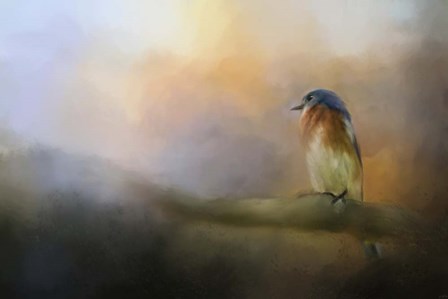 Bluebird In The Perfect Light by Jai Johnson art print