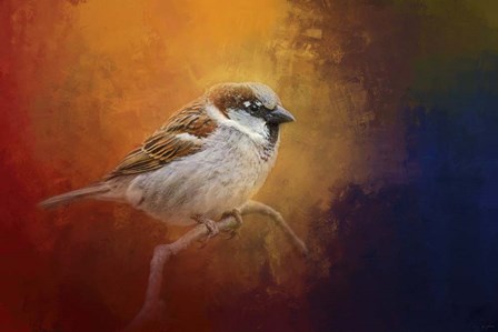 Autumn Sparrow by Jai Johnson art print